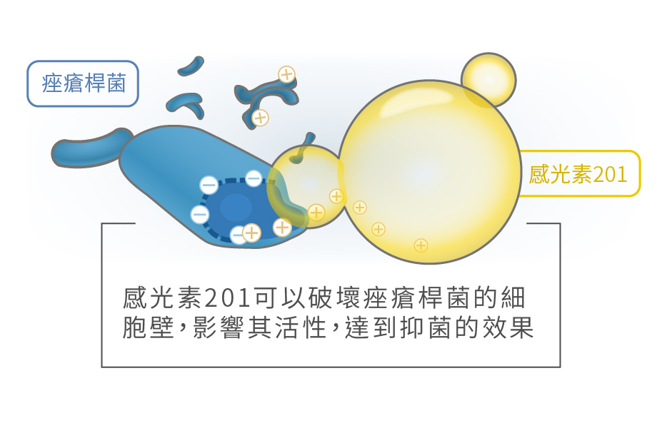 感光素201 抗菌原理