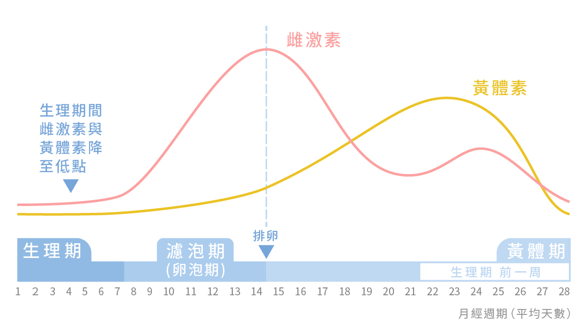 如何對抗生理痘_周期說明