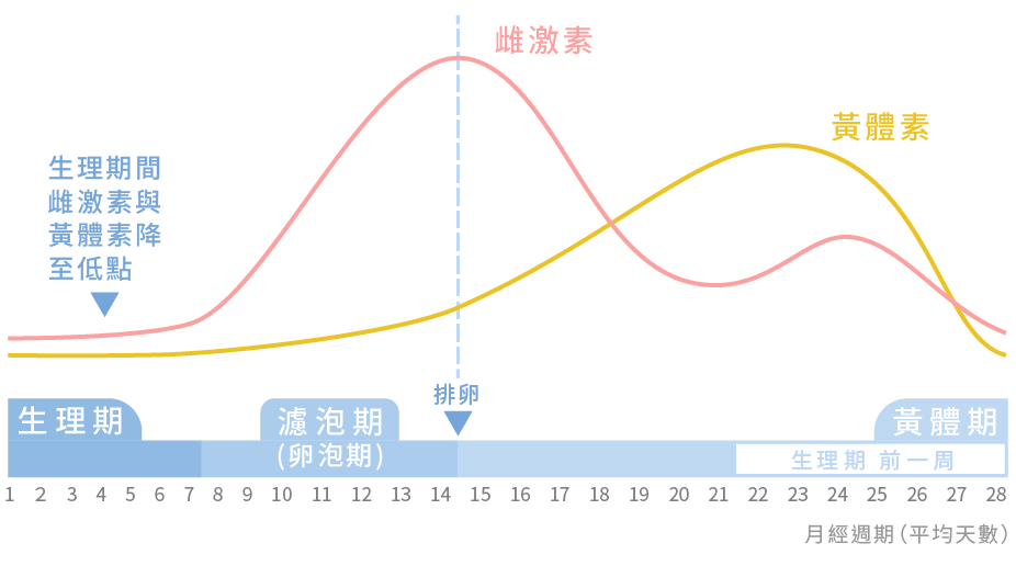 如何對抗生理痘_周期說明