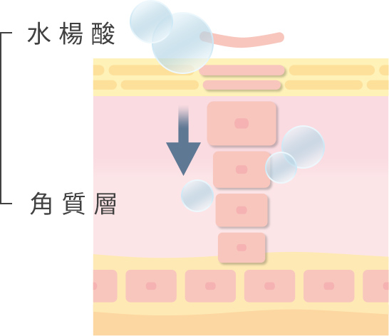 簡單保養胺基酸潔顏霜